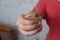 Hamster sleeping in girl's hand Royalty Free Stock Photo