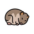 hamster sleeping pet color icon vector illustration