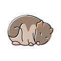 hamster sleeping pet color icon vector illustration