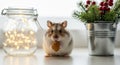 Hamster with a snack in front of a jar and a plant Royalty Free Stock Photo