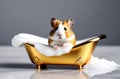 hamster taking a golden bath Royalty Free Stock Photo