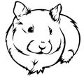 Hamster vector Royalty Free Stock Photo