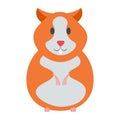 Hamster vector illustration. Hamster cartoon domestic animal on white background. Hamster cartoon vector icon