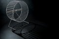 Hamster Wheel Empty Royalty Free Stock Photo