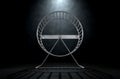 Hamster Wheel Empty Royalty Free Stock Photo