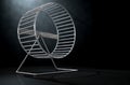Hamster Wheel Empty Royalty Free Stock Photo
