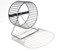 Hamster Wheel Empty Royalty Free Stock Photo