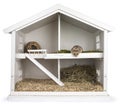 Hamster in wooden dolhouse on white