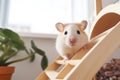 Hamster on a wooden ladder for rodents