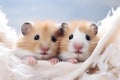 Hamsters. Two funny confused hamsters peek out from a torn background with free space for text. Cute animals hug day. Hugging