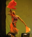 The Han nationality Fan Dance-2011 dancing class Graduation Concert party Royalty Free Stock Photo