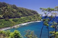 Hana Highway Royalty Free Stock Photo