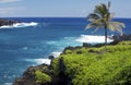 Hana Maui Black Sand Beach Royalty Free Stock Photo