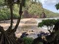 Hana Maui Hawaii beach with waves