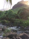 Hanakapiai Stream on Napali Coast on Kauai Island, Hawaii. Royalty Free Stock Photo