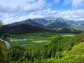 Hanalei lookout, kauai Royalty Free Stock Photo