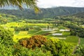 Hanalei Valley, Hawaii Royalty Free Stock Photo