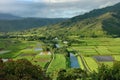 Hanalei Valley, Kauai Royalty Free Stock Photo