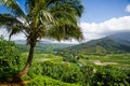 Hanalei Valley, Kauai Royalty Free Stock Photo