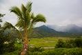 Hanalei Valley Overlook on Foggy Day Royalty Free Stock Photo