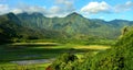 Hanalei Valley Rainbow, Kauai Royalty Free Stock Photo