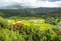 Hanaley Valley in Kauai, Hawaii Royalty Free Stock Photo