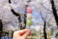 Hanami dango during Sakura-viewing season at Asukayama Park, Tokyo.