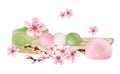 Hanami Festival. Traditional Japanese dessert and sakura flowers. Spring composition in watercolor style. Hand drawn Royalty Free Stock Photo