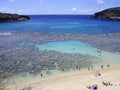 Hanauma Bay Royalty Free Stock Photo