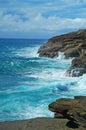 Hanauma Bay, Hawaii Royalty Free Stock Photo