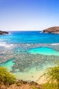 Hanauma bay, Oahu, Hawaii Royalty Free Stock Photo