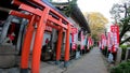 Hanazono Inari Shrine, a shrine located in Ueno Park, Taito-ku, Tokyo, Japan.