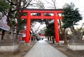 Hanazono Shrine in Shinjuku, Tokyo