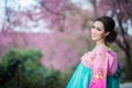 Hanbok: the traditional Korean dress and beautiful Asian girl wi Royalty Free Stock Photo