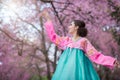 Hanbok: the traditional Korean dress and beautiful Asian girl wi Royalty Free Stock Photo