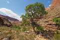 Hance Creek campsite in the Grand Canyon.