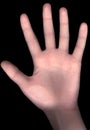 Hand