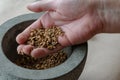 The hand of an adult Caucasian male demonstrates crushed random medicinal roots and herbs in a stone mortar Royalty Free Stock Photo