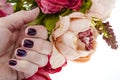 Hand of an adult woman with painted nails, manicure, nail polish Royalty Free Stock Photo