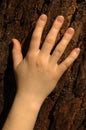 Hand against bark Royalty Free Stock Photo