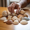 A hand arranges a collection of seashells on a wooden surface Royalty Free Stock Photo