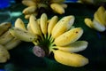 hand of bananas,tropical Thai fruit Royalty Free Stock Photo