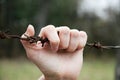 Hand on barbed wire