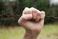 Hand on barbed wire