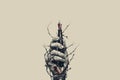 hand, barbed wire and fountain pen, generative AI