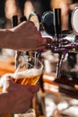 Hand of bartender pouring a large lager beer in tap. Royalty Free Stock Photo