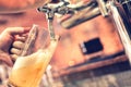 Hand of bartender pouring a large lager beer from tap at bistro Royalty Free Stock Photo