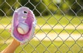 Hand of Baseball Player with Pink Glove and Ball Royalty Free Stock Photo