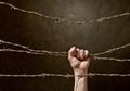 Hand behind barbed wire Royalty Free Stock Photo