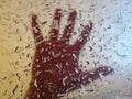 Hand behind glass with drops Royalty Free Stock Photo